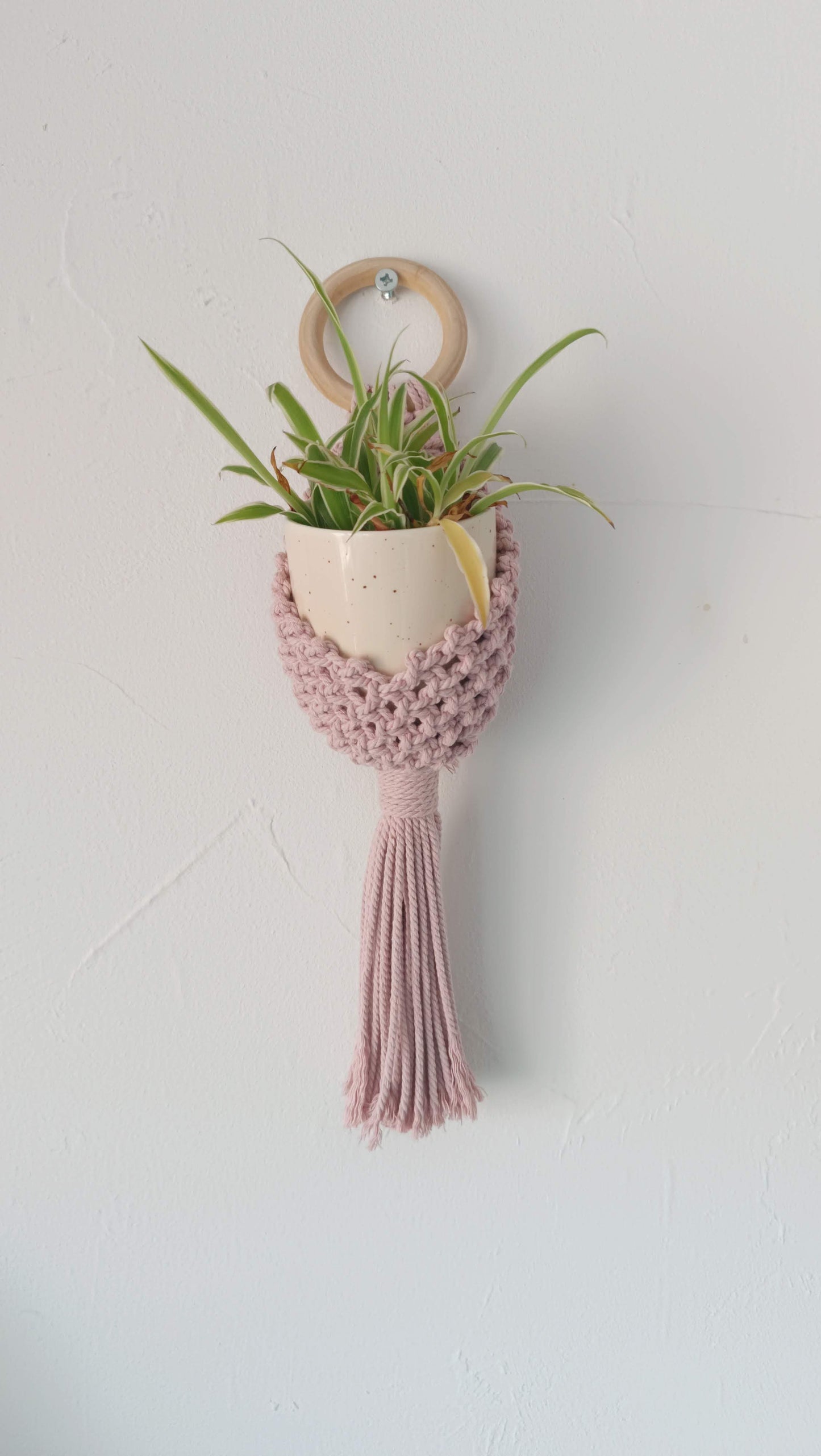 Suspension plantes "Cocoon"