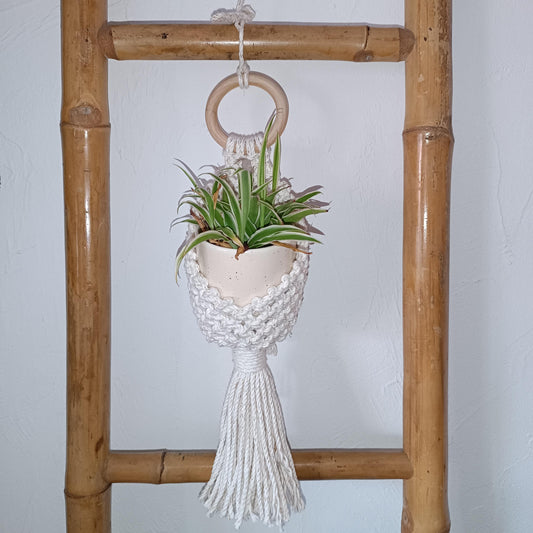 Suspension plantes "Cocoon"